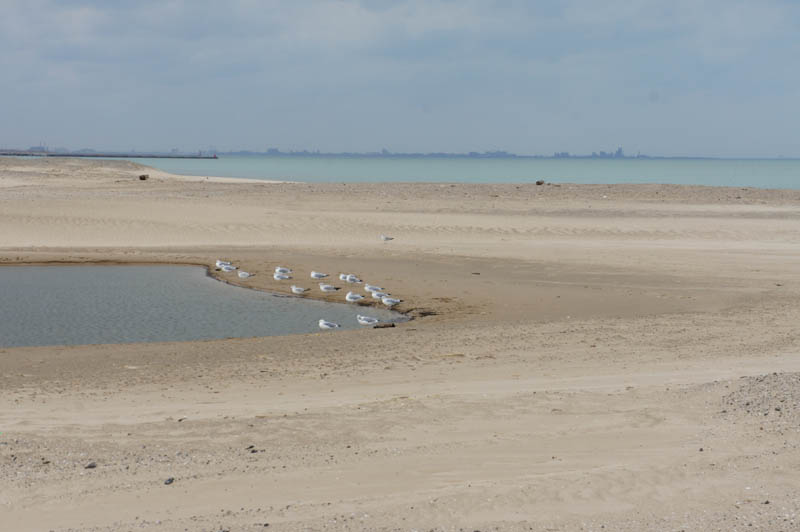 Beauvoir in love - La maison du lac et le lac, le théâtre de la fin des amours - Photo 41